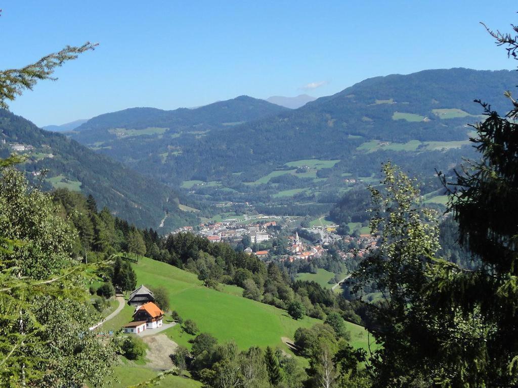 Die Petzl Huette - Kreischbergblick Kaindorf  外观 照片